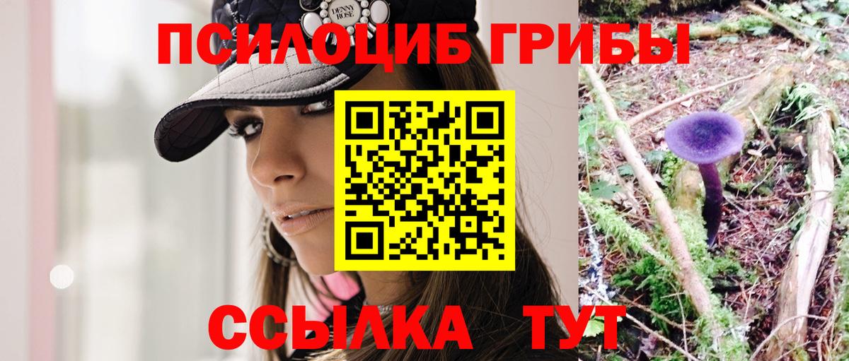 Тюмень  Псилоцибиновые грибы мицелий  Вход с VPN 